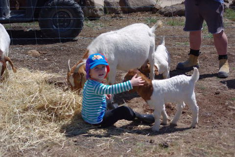 Yalooka Farm - eAccommodation 3