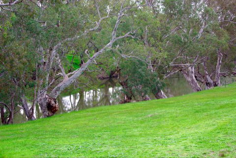 Yalooka Farm - eAccommodation 4