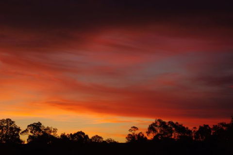 Yalooka Farm - eAccommodation 5