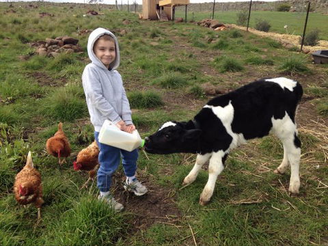 Yalooka Farm - eAccommodation 8