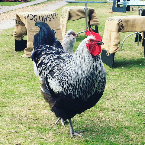 Container65 - eAccommodation 4