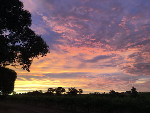 Container65 - eAccommodation 5