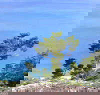 Crayfish Beach Hook Island - eAccommodation