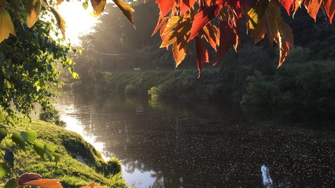 Forth River Cottage - eAccommodation 4