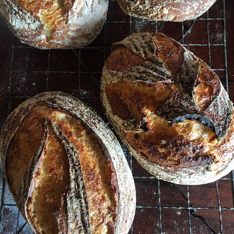 Girragirra Retreat - eAccommodation 5