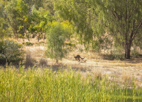 Girragirra Retreat - eAccommodation 7