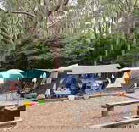 Pebbly Beach campground - Yuraygir National Park - eAccommodation