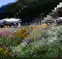 Millicent Showground RV Park - eAccommodation