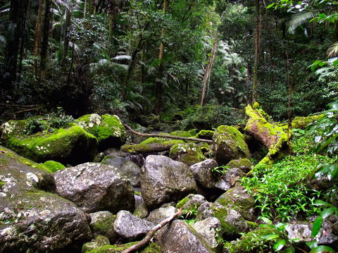 Nightfall  Camp - eAccommodation 4