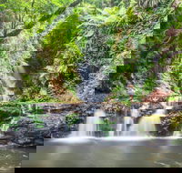 O'Reilly's Rainforest Retreat - eAccommodation