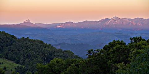 O'Reilly's Rainforest Retreat - eAccommodation 1