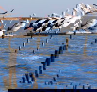 Pelican Perch Retreat - eAccommodation