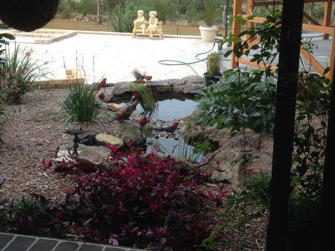 BellbirdHill Bed And Breakfast - eAccommodation 4