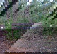 Charlies Flat Campground at Lane Poole Reserve - eAccommodation