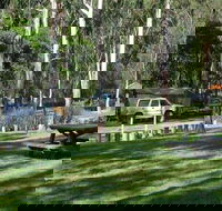 Chaelundi campground - eAccommodation