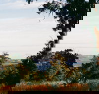 Hilltop Barn at Swan Bay - eAccommodation