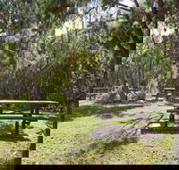 Illaroo group camping area - eAccommodation