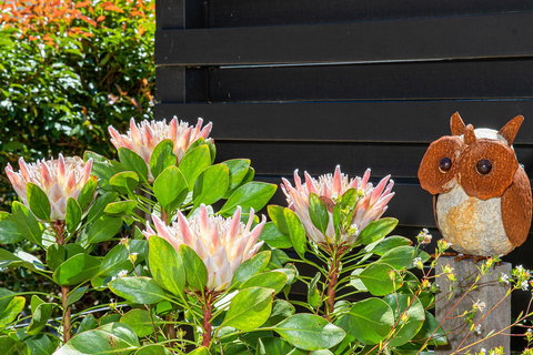 Killior'ra - eAccommodation 3