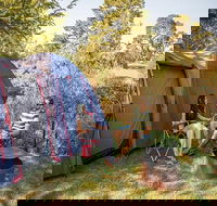 Village campground - eAccommodation