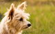 Barkala Farmstay - thumb 1