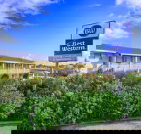 Best Western Albany Motel  Apartments - eAccommodation