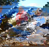 Cedar Glen Farmstay - eAccommodation