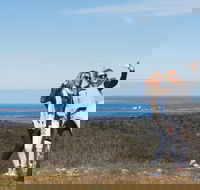 Cowell RV Park - eAccommodation