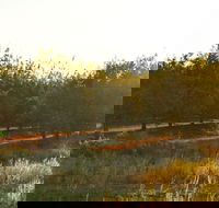 Griffith Tourist Caravan Park - eAccommodation