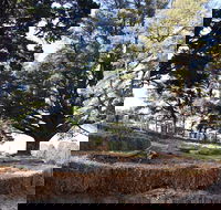 Longwood Retreat - eAccommodation