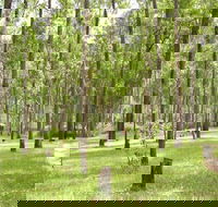 Nymboida River campground - eAccommodation