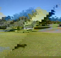 Pine Country Caravan Park - Pet Friendly - eAccommodation