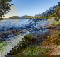 Tattersalls campground - eAccommodation