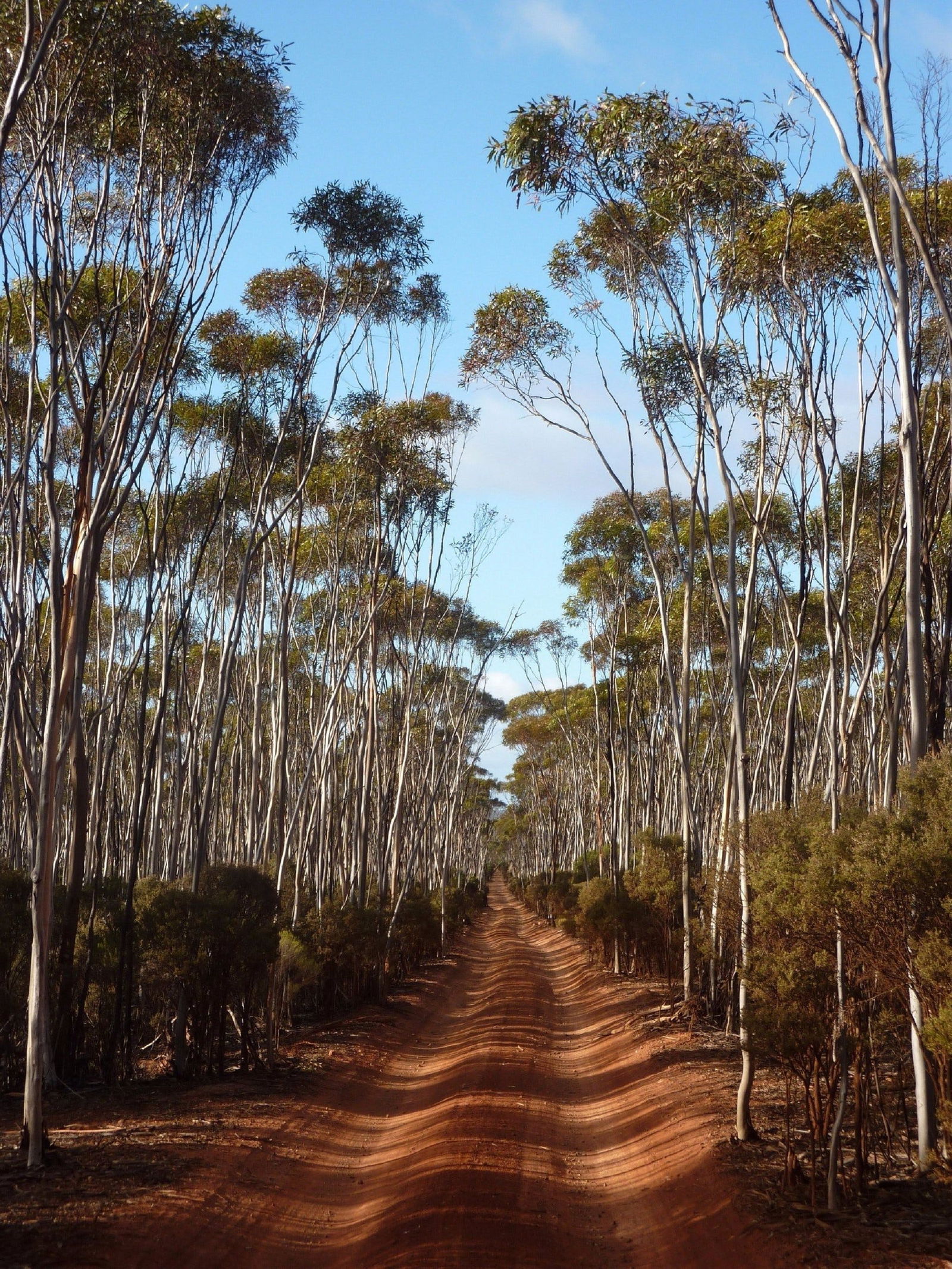 Victoria Rock WA eAccommodation