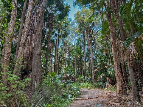 Brambles Green Campground - eAccommodation 1