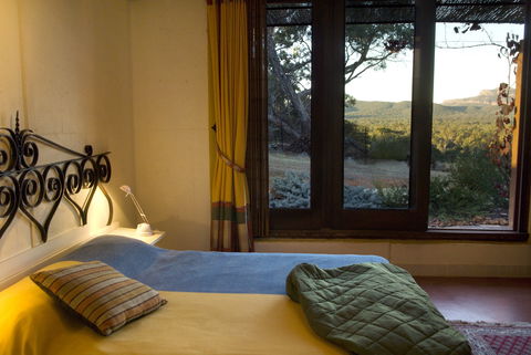 Kangaroos In The Top Paddock - eAccommodation 1