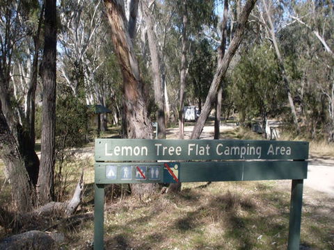 Lemon Tree Flat Campground - eAccommodation 0