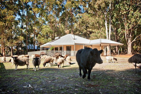 Margaret River Hideaway And Farmstay - eAccommodation 1