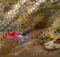 Thungutti campground - eAccommodation