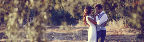 Rainforest Ranch - eAccommodation 2