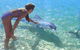 Heritage Resort Shark Bay - thumb 1