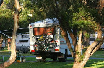 BIG4 Albany Gardens Holiday Resort - eAccommodation 3