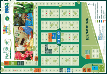 BIG4 Plantation Caravan Park - eAccommodation 2