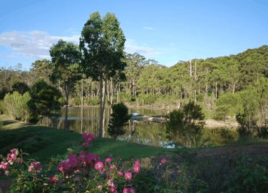 Forest Lodge Resort - eAccommodation 3
