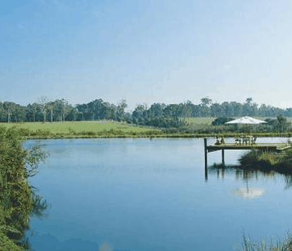 Forest Rise Eco Retreat - eAccommodation