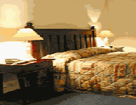 Comfort Inn Treetop Walk - eAccommodation