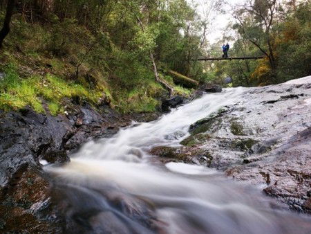 Karri Valley Resort - eAccommodation 2