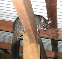 Warren River Resort - eAccommodation