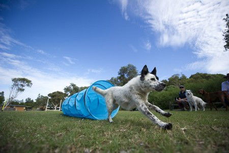 North Beach Holiday Park - eAccommodation 1