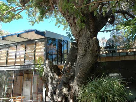 The Painted Fish - eAccommodation 3