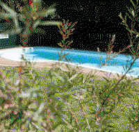 Alluna Motel - eAccommodation